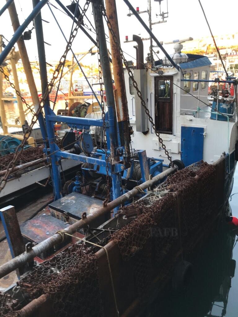 Scalloper possible Whelker