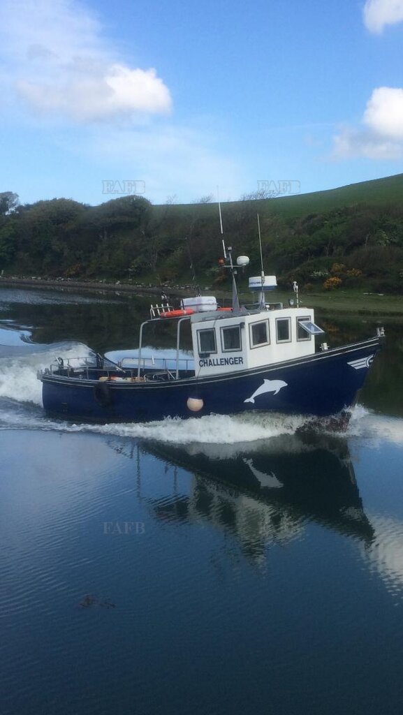 Versatility 31 Mark 2