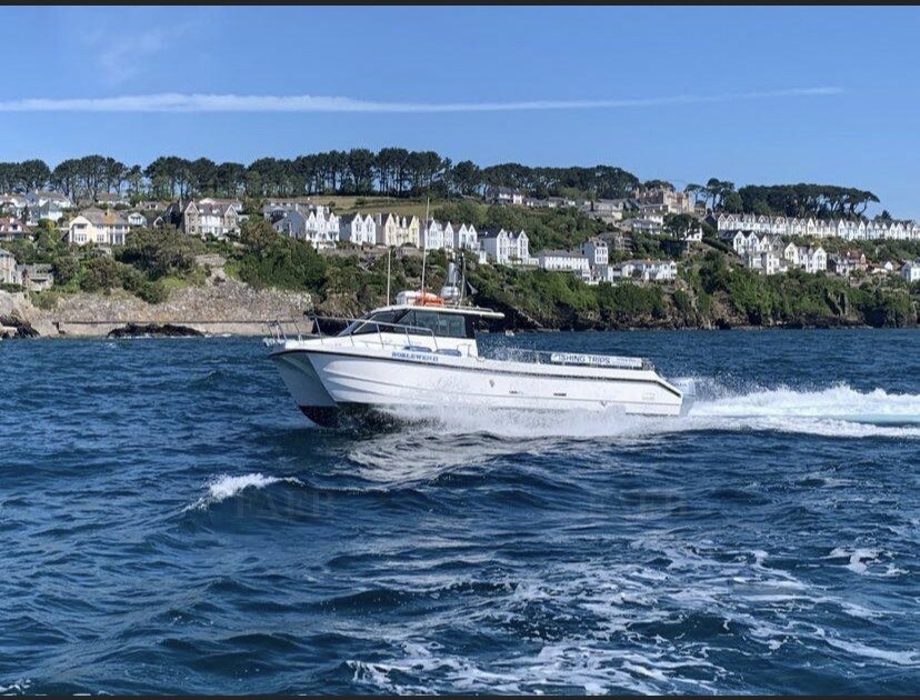 Large picture for advert 113586