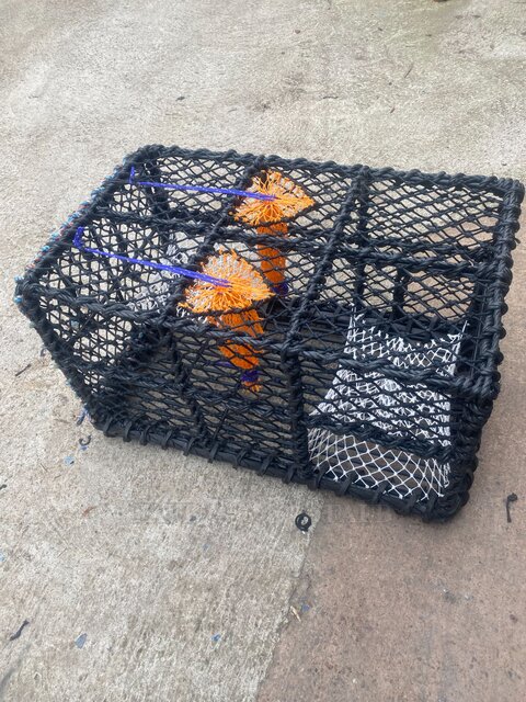 Large picture for advert 120236