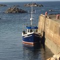 Extra picture for advert 106286