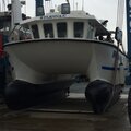 Extra picture for advert 110436